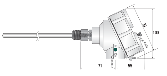ATEX Approved RTD Pt100 Sensors with Stainless Steel Head